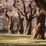 Day Tripping: Toronto Parks for Children
